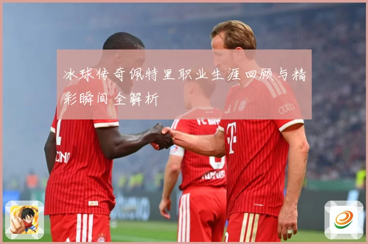 冰球传奇佩特里职业生涯回顾与精彩瞬间全解析