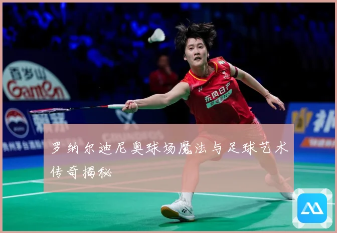 罗纳尔迪尼奥球场魔法与足球艺术传奇揭秘