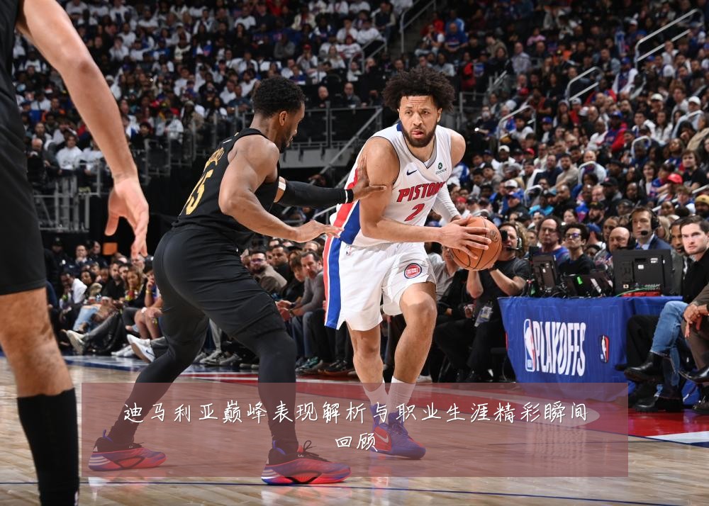迪马利亚巅峰表现解析与职业生涯精彩瞬间回顾